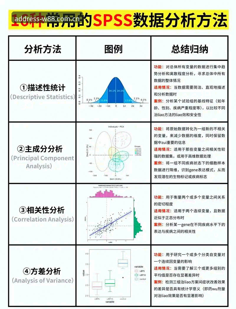 w88优德深度统计教程 资深分析师分享w88优德深度统计教程:从数据洞察到赛事预测的实战经验